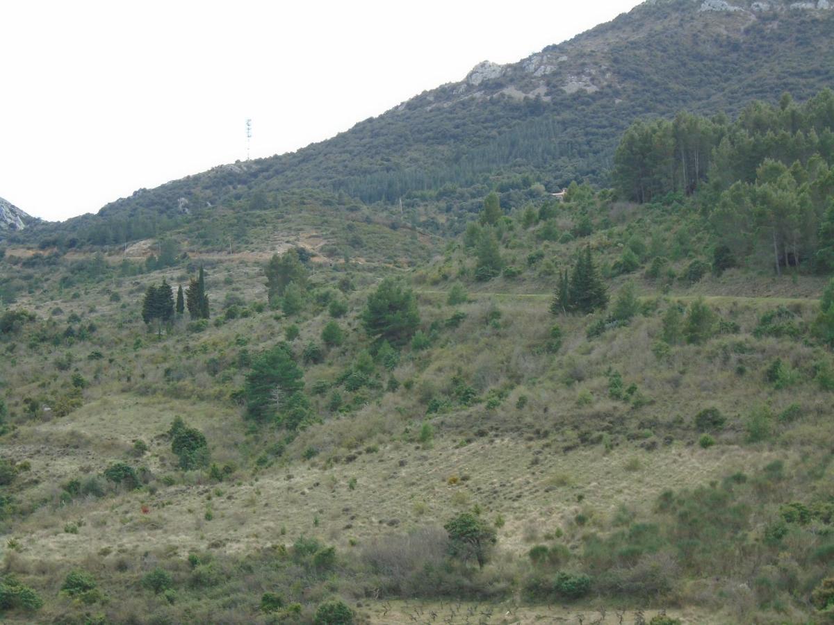 Gite La Tramontane Villa Cucugnan Exteriör bild